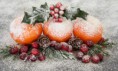 /album/galleria-foto-il-centrotavola-con-la-frutta-brrrr-inata-ecco-come-si-fa/centrotavola-natalizio-jpg/